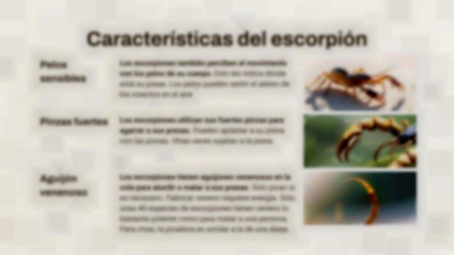 Plantilla de presentación Escorpión contra Tarántula