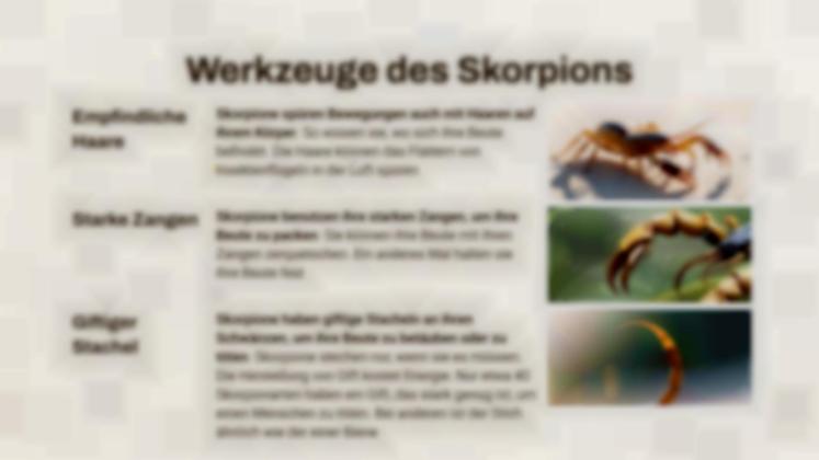 Skorpion vs. Vogelspinne Präsentationsvorlage