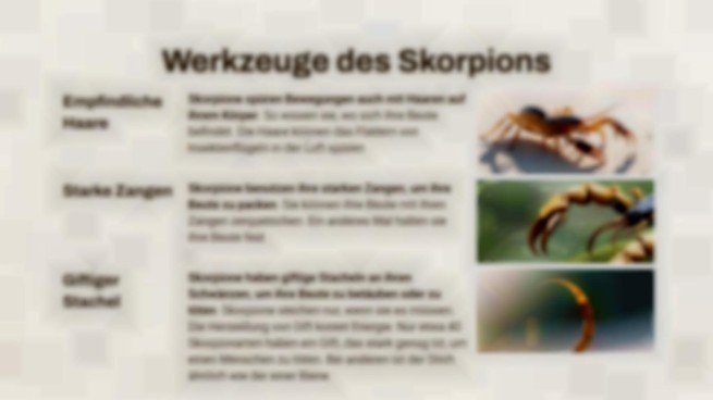 Skorpion vs. Vogelspinne Präsentationsvorlage