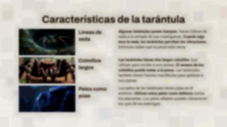 Plantilla de presentación Escorpión contra Tarántula