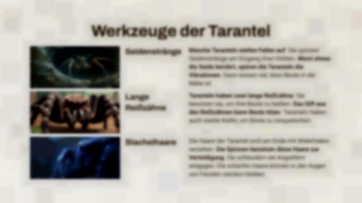 Skorpion vs. Vogelspinne Präsentationsvorlage