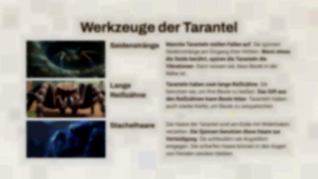 Skorpion vs. Vogelspinne Präsentationsvorlage