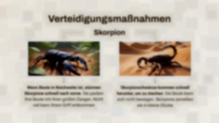 Skorpion vs. Vogelspinne Präsentationsvorlage