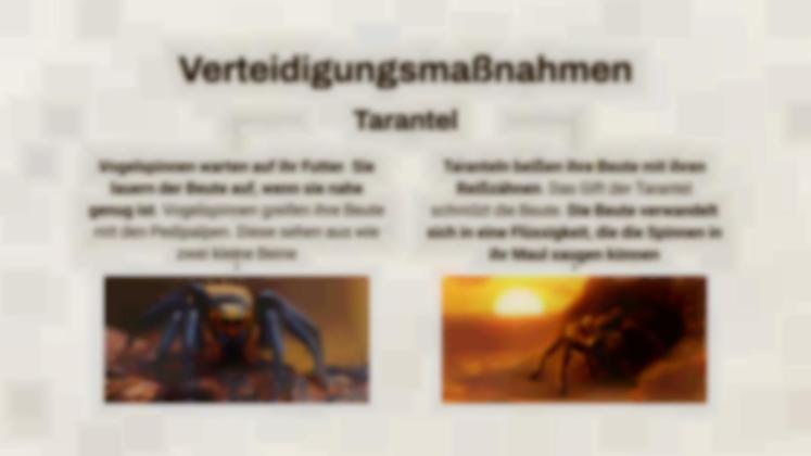 Skorpion vs. Vogelspinne Präsentationsvorlage