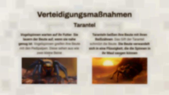 Skorpion vs. Vogelspinne Präsentationsvorlage