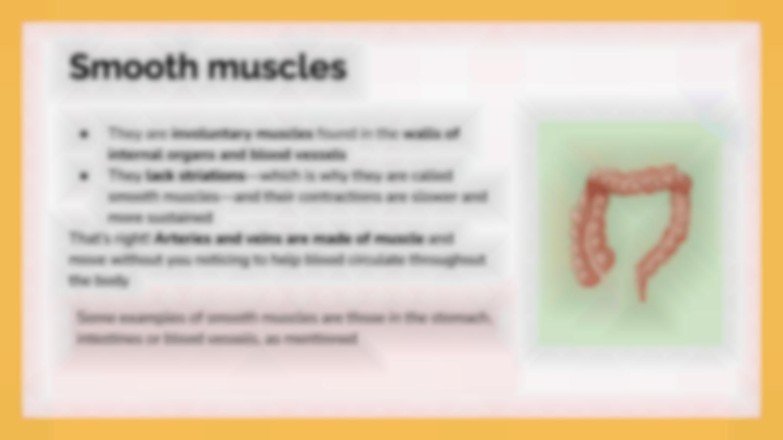 Le système musculaire Modèles de présentation