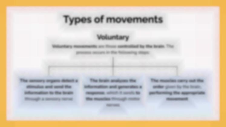 Le système musculaire Modèles de présentation