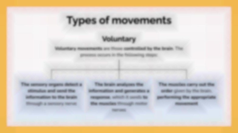 Le système musculaire Modèles de présentation