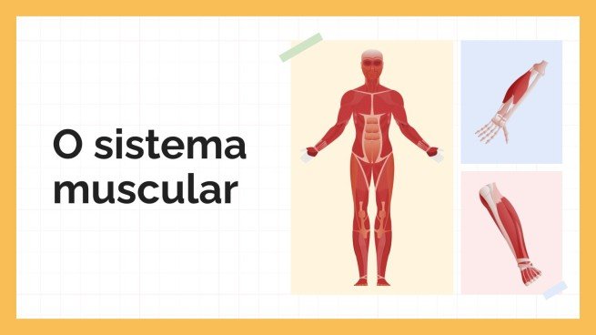Modelo de apresentação O Sistema Muscular