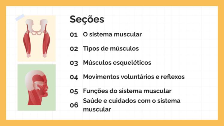 Modelo de apresentação O Sistema Muscular
