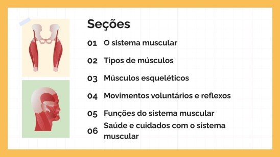 Modelo de apresentação O Sistema Muscular