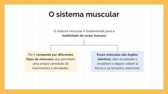 Modelo de apresentação O Sistema Muscular