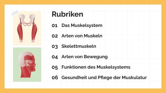Das Muskelsystem Präsentationsvorlage