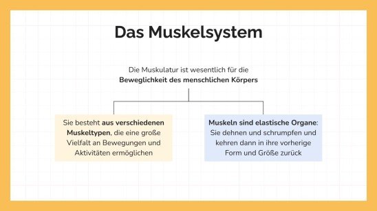 Das Muskelsystem Präsentationsvorlage