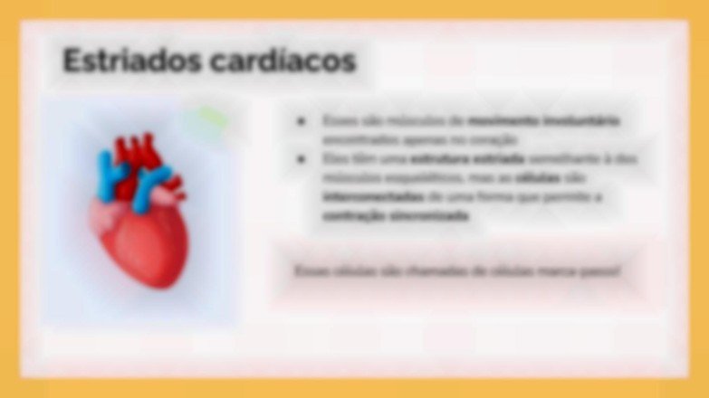 Modelo de apresentação O Sistema Muscular