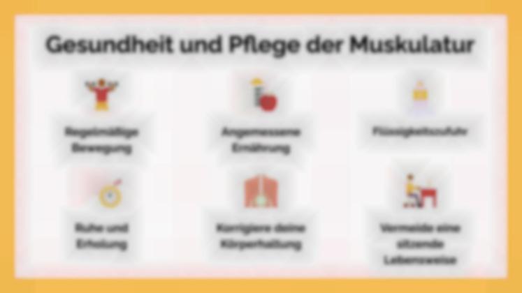 Das Muskelsystem Präsentationsvorlage