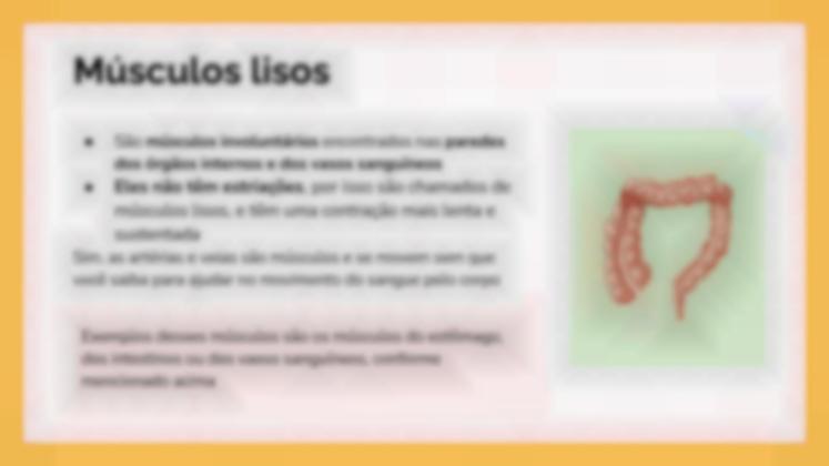 Modelo de apresentação O Sistema Muscular