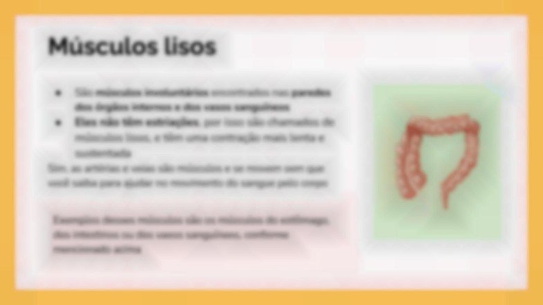 Modelo de apresentação O Sistema Muscular