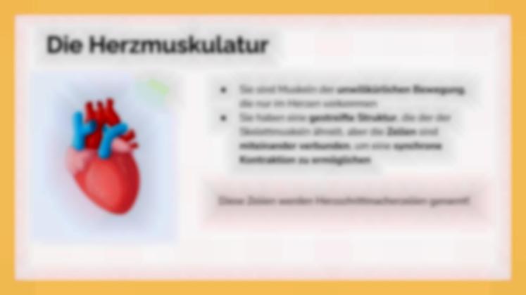 Das Muskelsystem Präsentationsvorlage