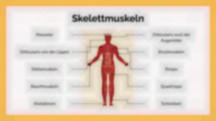 Das Muskelsystem Präsentationsvorlage