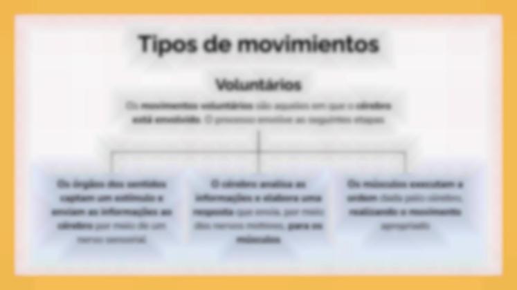 Modelo de apresentação O Sistema Muscular