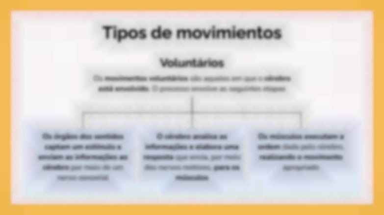 Modelo de apresentação O Sistema Muscular