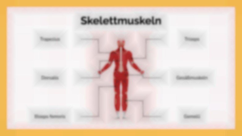 Das Muskelsystem Präsentationsvorlage