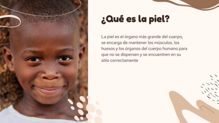Plantilla de presentación El órgano más grande del cuerpo: la piel