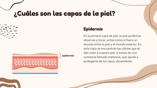 Plantilla de presentación El órgano más grande del cuerpo: la piel