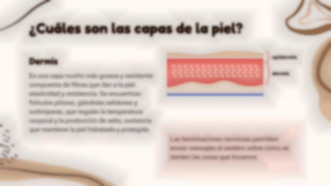 Plantilla de presentación El órgano más grande del cuerpo: la piel