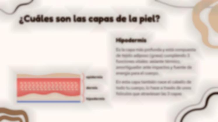 Plantilla de presentación El órgano más grande del cuerpo: la piel