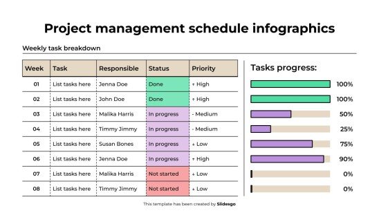 Project Management Schedule Infographics Template