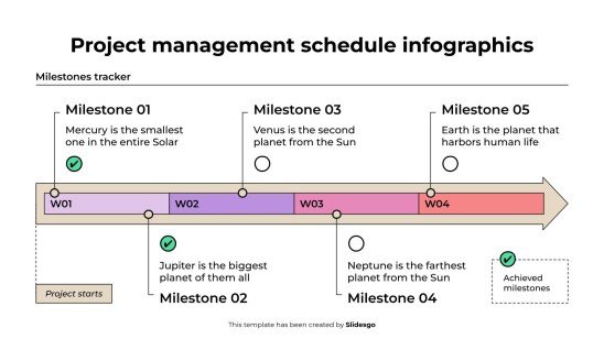 Project Management Schedule Infographics Template