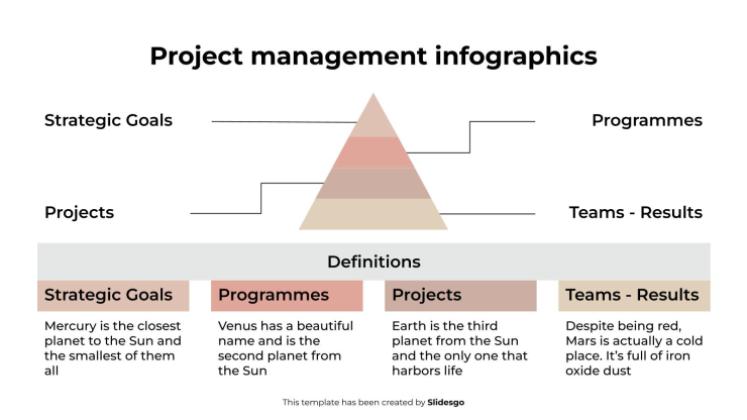 Project Management Infographics presentation template 