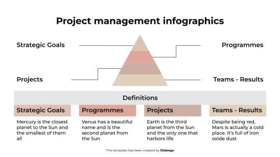 Project Management Infographics presentation template 