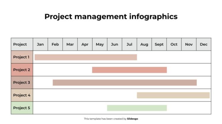 Project Management Infographics presentation template 
