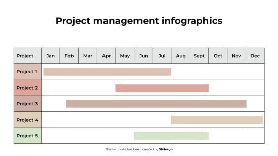 Project Management Infographics presentation template 