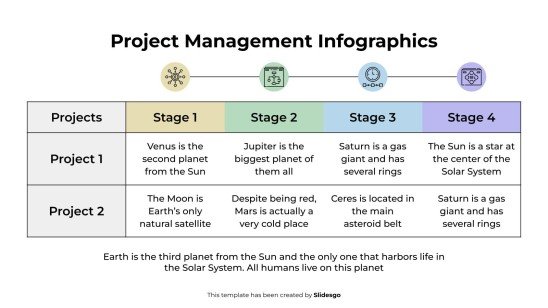 Project Example Infograph Project Management Infographics Template