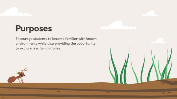 Plantilla de presentación Situación de aprendizaje: investigación sobre hormigas