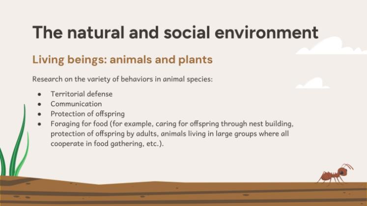 Plantilla de presentación Situación de aprendizaje: investigación sobre hormigas