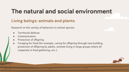 Plantilla de presentación Situación de aprendizaje: investigación sobre hormigas