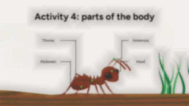 Plantilla de presentación Situación de aprendizaje: investigación sobre hormigas