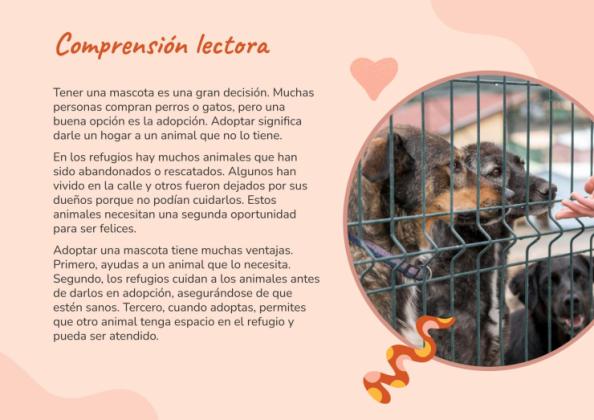 Lernsituation 11 – Sprache und Literatur – 4. Klasse Präsentationsvorlage