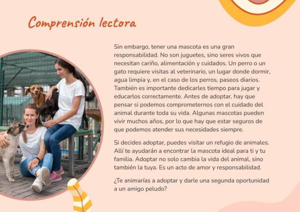 Lernsituation 11 – Sprache und Literatur – 4. Klasse Präsentationsvorlage