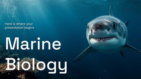 Meeresbiologie Präsentationsvorlage