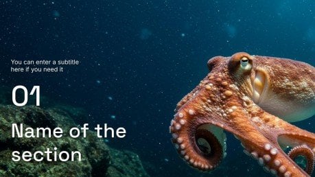 Meeresbiologie Präsentationsvorlage