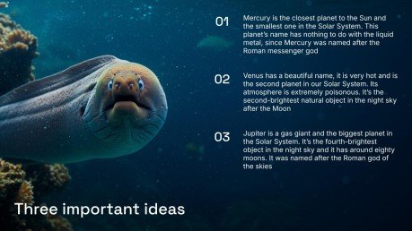 Meeresbiologie Präsentationsvorlage