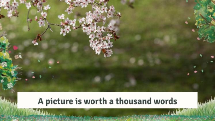 Spring Woods presentation template 