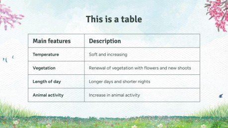 Spring Woods presentation template 