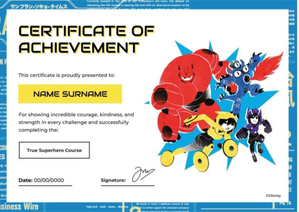 Modelo de apresentação Certificado de Operação Big Hero